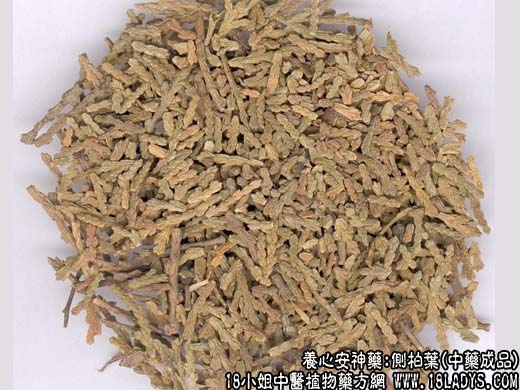 侧柏叶的中药成品图片