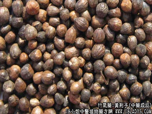 中药材：黄荆子中药成品