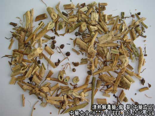 龙葵图片