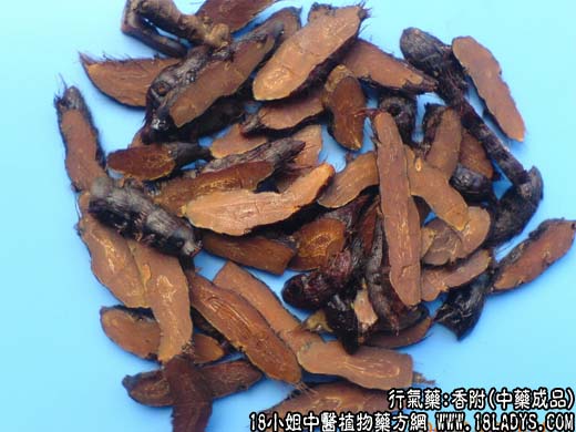 中药材：香附中药成品