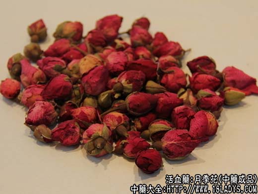 月季花