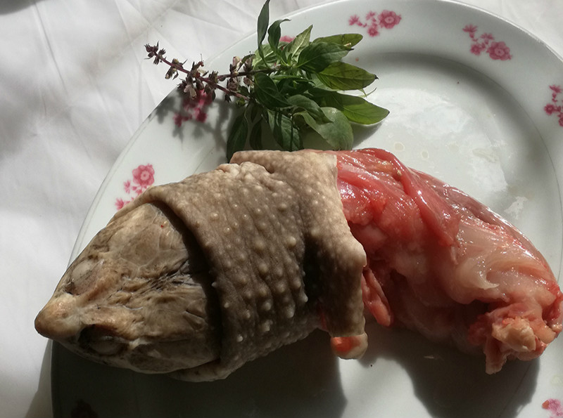 龟肉