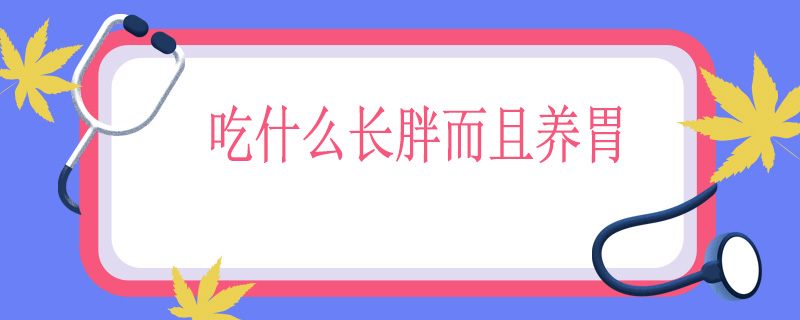 吃什么长胖而且养胃