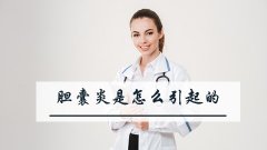 胆囊炎是怎么引起的
