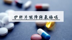 护肝片能将转氨酶吗