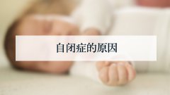 自闭症的原因