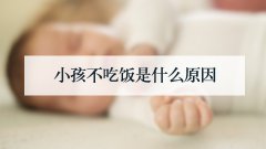 小孩不吃饭是什么原因