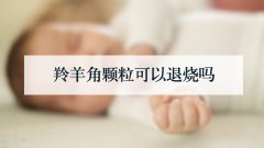 羚羊角颗粒可以退烧吗