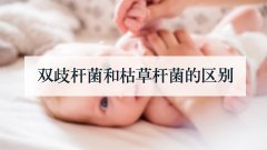 双歧杆菌和枯草杆菌的区别