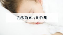 乳酸菌素片的作用