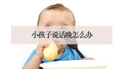 小孩子说话晚怎么办