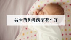 益生菌和乳酸菌哪个好