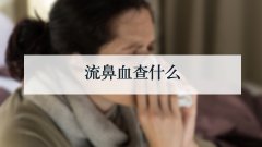 流鼻血查什么