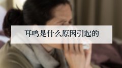耳鸣是什么原因引起的