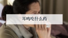 耳鸣吃什么药