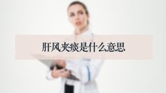 肝风夹痰是什么意思