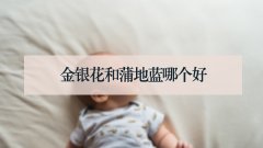 金银花和蒲地蓝哪个好