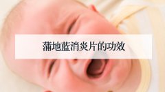 蒲地蓝消炎片的功效