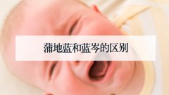 蒲地蓝和蓝岑的区别