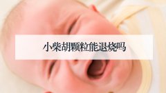 小柴胡颗粒能退烧吗