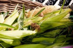 糖尿病冬季喝什么？6种最好的降糖养生茶