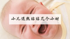 小儿退热贴贴几个小时