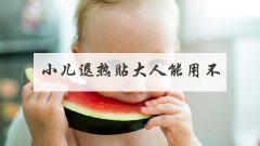 小儿退热贴大人能用不