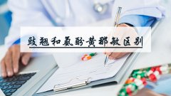 豉翘和氨酚黄那敏区别