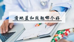 蒲地蓝和豉翘哪个好