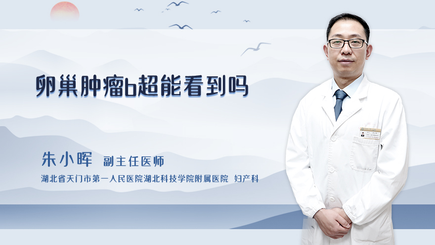 卵巢肿瘤b超能看到吗