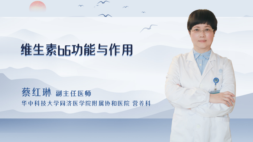 维生素b6功能与作用