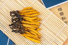 虫草的功效与作用，冬虫夏草泡酒的功效