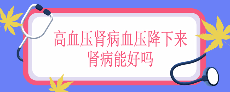 高血压肾病血压降下来肾病能好吗
