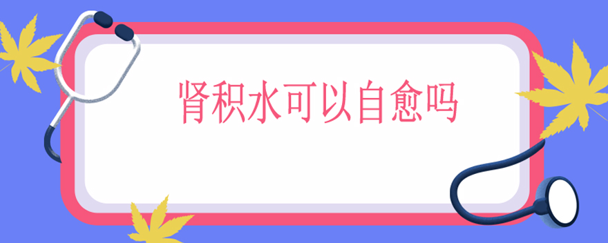 肾积水可以自愈吗