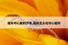 薤白对心脏的作用,薤白怎么吃对心脏好