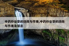 中药炒谷芽的功效与作用,中药炒谷芽的功效与作用及禁忌