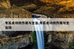 <b>冬瓜皮功效作用与主治,冬瓜皮功效作用与主治功</b>