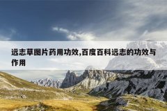 远志草图片药用功效,百度百科远志的功效与作用