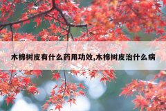 木棉树皮有什么药用功效,木棉树皮治什么病