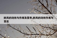 防风的功效与作用及营养,防风的功效作用与禁忌