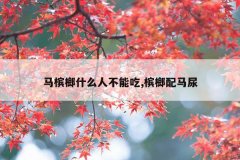 <b>马槟榔什么人不能吃,槟榔配马尿</b>