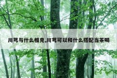 川芎与什么相克,川芎可以和什么搭配当茶喝