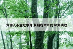 六种人不宜吃木耳,长期吃木耳的10大功效