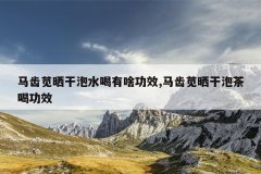 马齿苋晒干泡水喝有啥功效,马齿苋晒干泡茶喝功