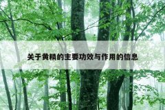 关于黄精的主要功效与作用的信息