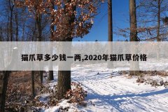 猫爪草多少钱一两,2020年猫爪草价格