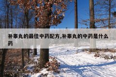 补睾丸的最佳中药配方,补睾丸的中药是什么药