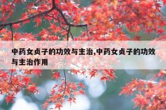 <b>中药女贞子的功效与主治,中药女贞子的功效与主治作用</b>