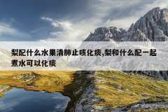 <b>梨配什么水果清肺止咳化痰,梨和什么配一起煮水可以化痰</b>