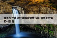 鲫鱼与什么药材煲汤能健脾祛湿,鲫鱼配什么药材